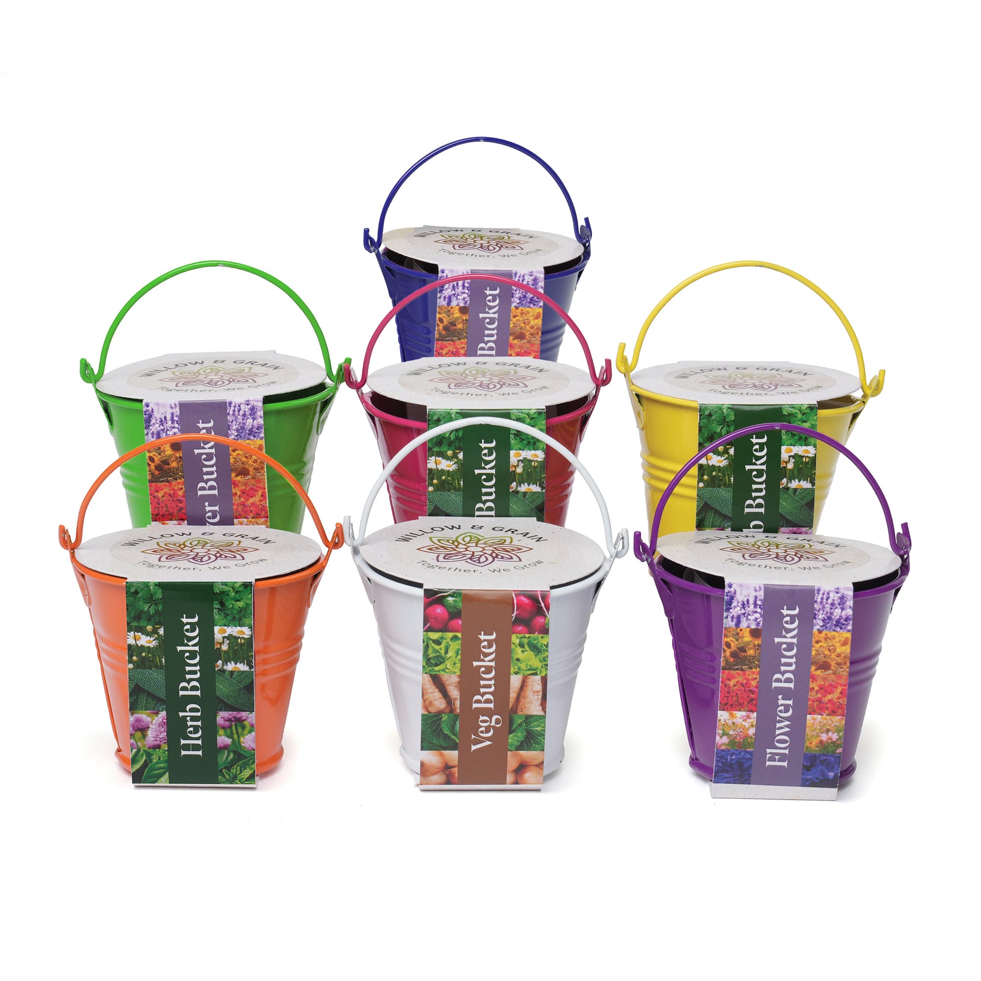 Coloured Mini Bucket Grow Kit
