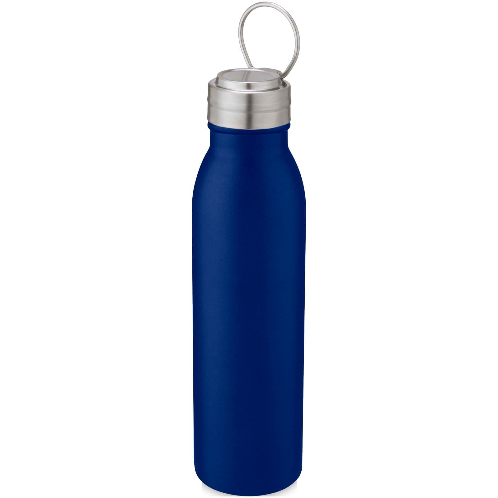 Harper 700 ml stainless steel water bottle with metal loop