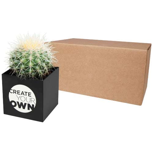 Hey Pots aluminium planted pot - cactus
