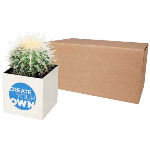 Hey Pots aluminium planted pot - cactus