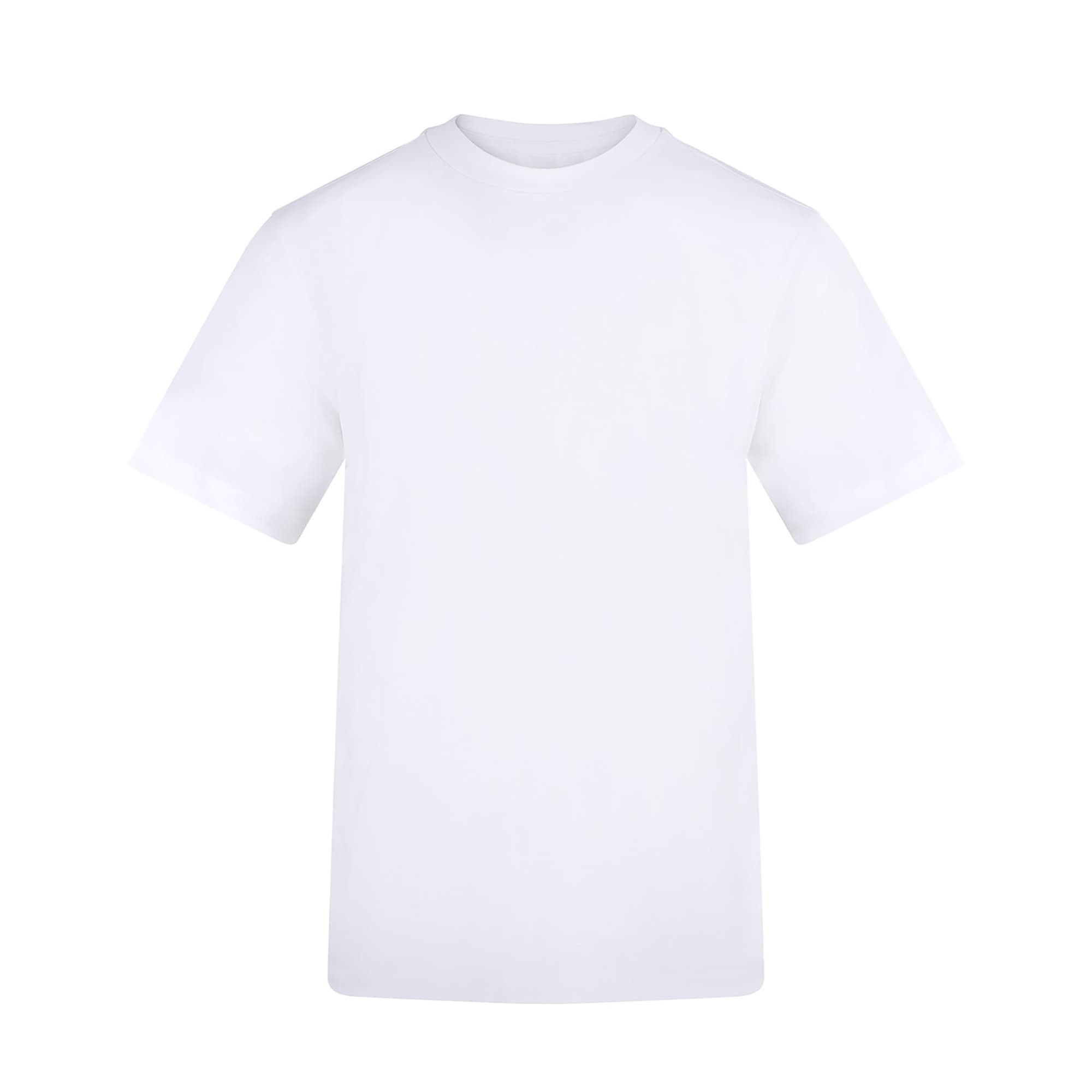 AWDIS THE 180 T