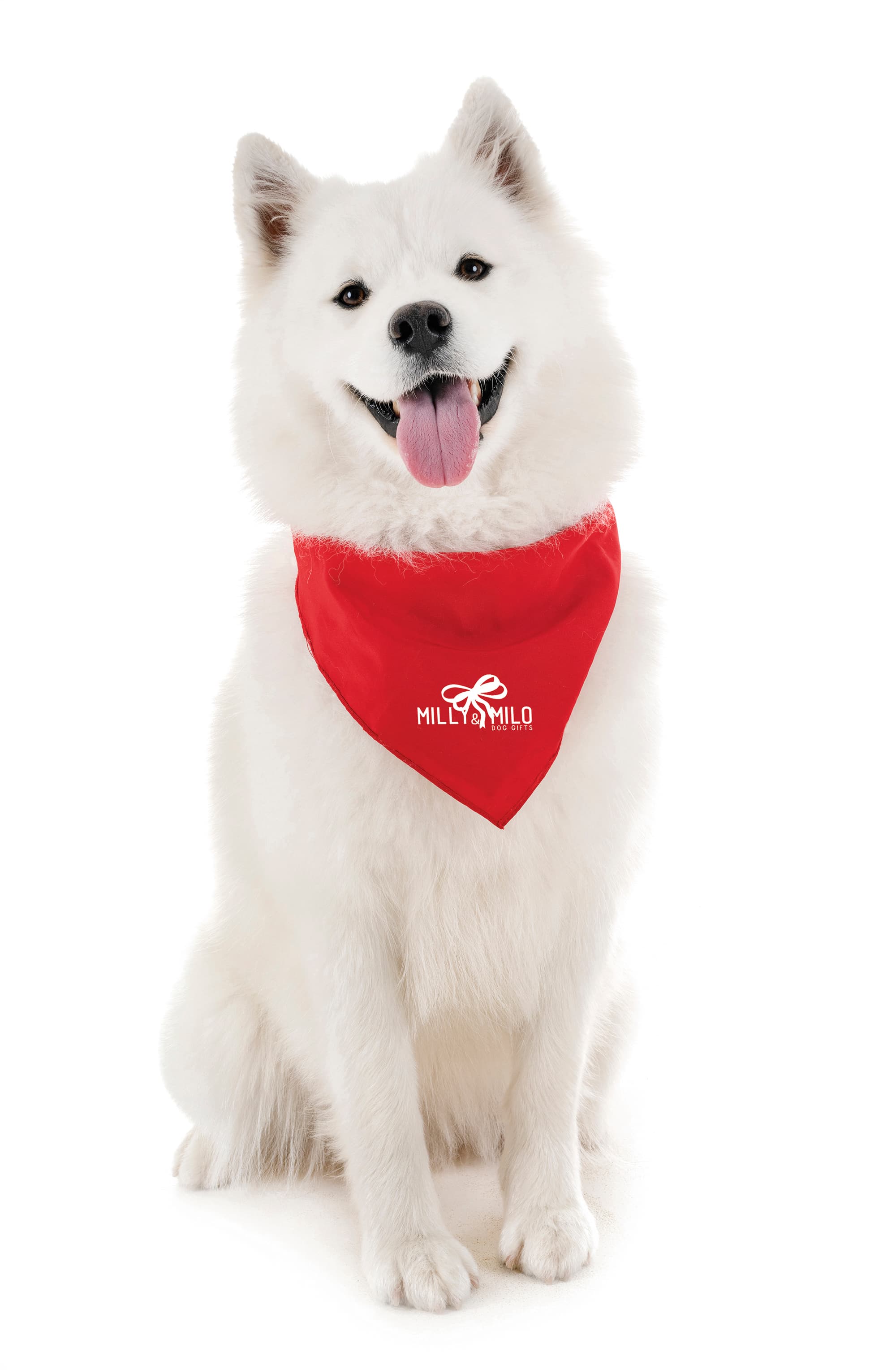 Pet Bandana Small