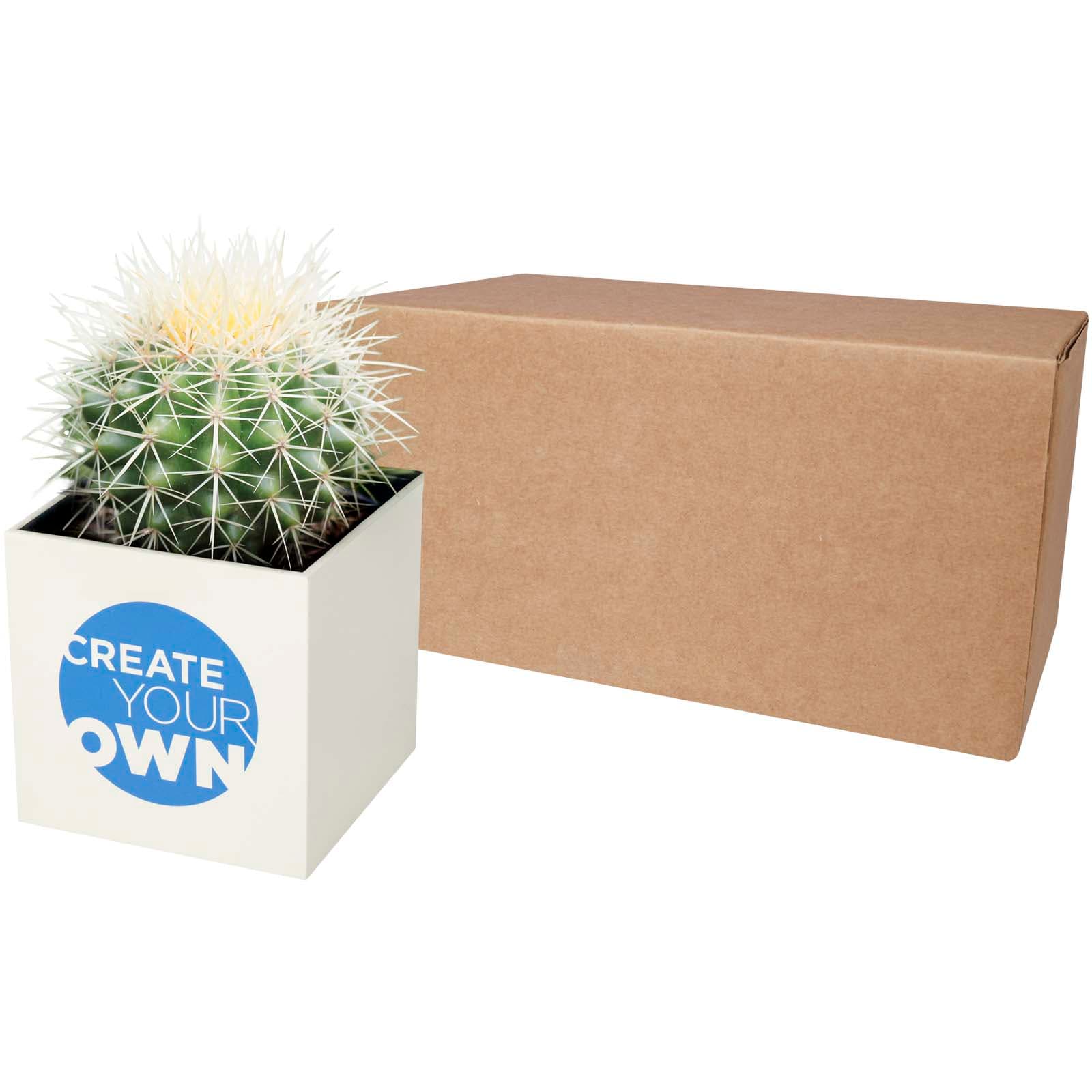 Hey Pots aluminium planted pot - cactus