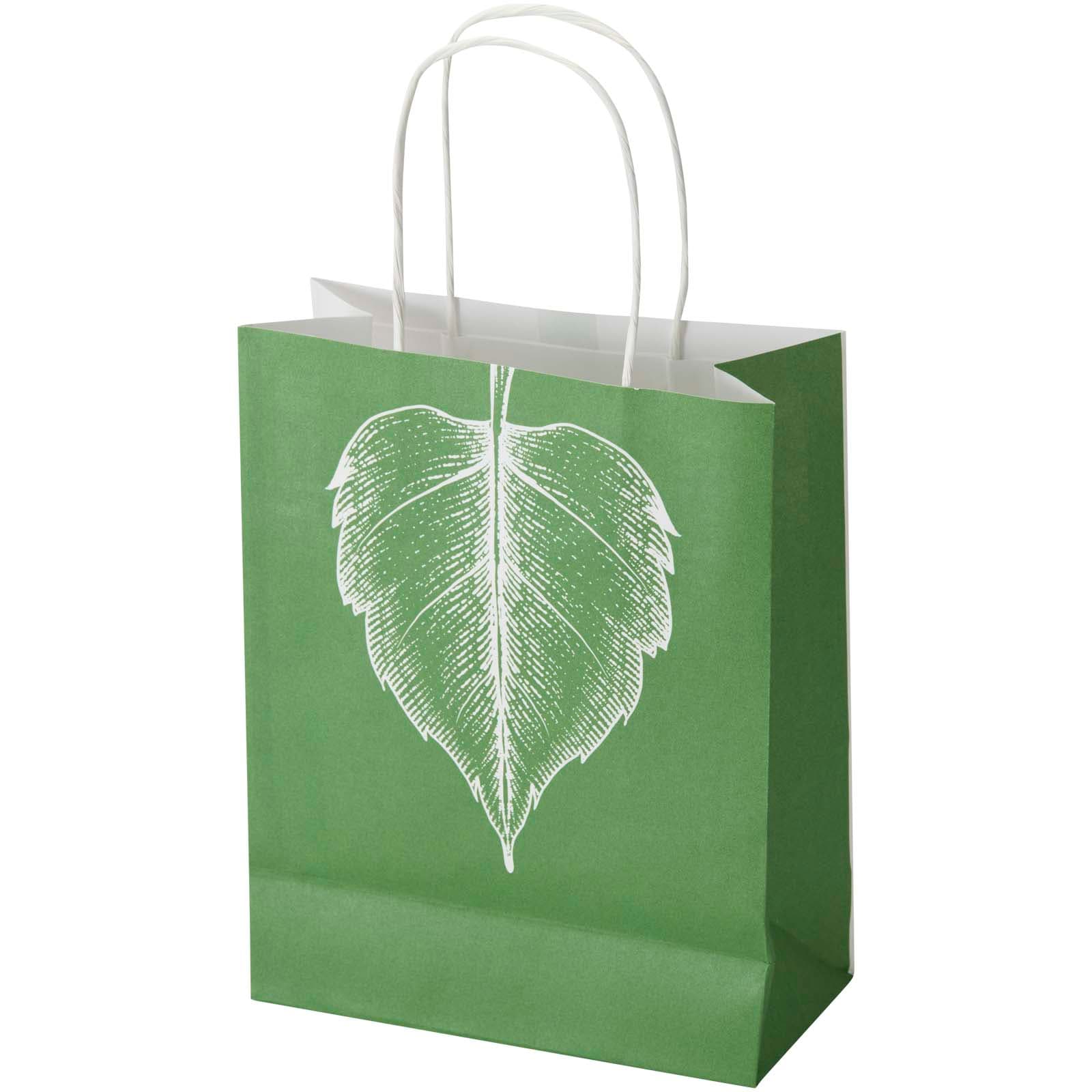 Kraft 120 g/m2 paper bag with twisted handles - 18 x 9 x 23 cm